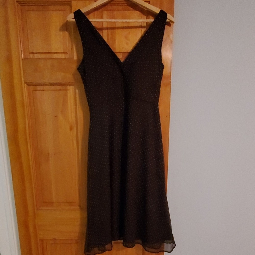 Jcrew Chocolate and Cream Party Dress